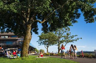 A sunny park scene features people lounging on the grass, walking along pathways, and enjoying a vibrant outdoor atmosphere near buildings and trees.